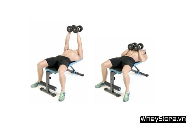 8 bài tập ngực với tạ đơn tốt nhất giúp cơ ngực phát triển toàn diện - Ảnh 8 8 bài tập ngực với tạ đơn tốt nhất giúp cơ ngực phát triển toàn diện - Ảnh 8