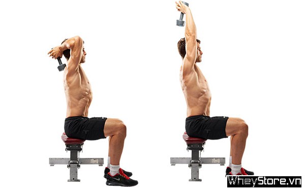 9 bài tập tay sau tốt nhất cho bắp tay vạm vỡ, đầy sức mạnh - Ảnh 1