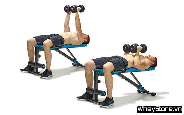 7 bài tập tay sau với tạ đơn cho bắp tay cuồn cuộn - Ảnh 5 7 bài tập tay sau với tạ đơn cho bắp tay cuồn cuộn - Ảnh 5