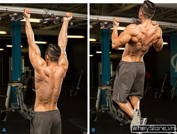 Top 10 bài tập Gym tại nhà nâng cao thể lực đẩy lùi Covid 19 - Ảnh 8