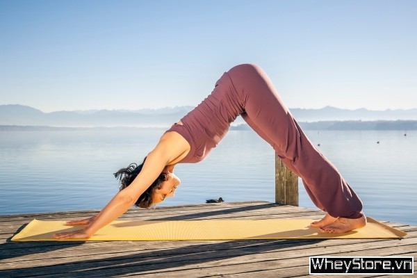 12 bài tập yoga M f8beta2 c cá cược WC 2026 lấy lại vóc dáng cân đối khỏe mạnh - Ảnh 5