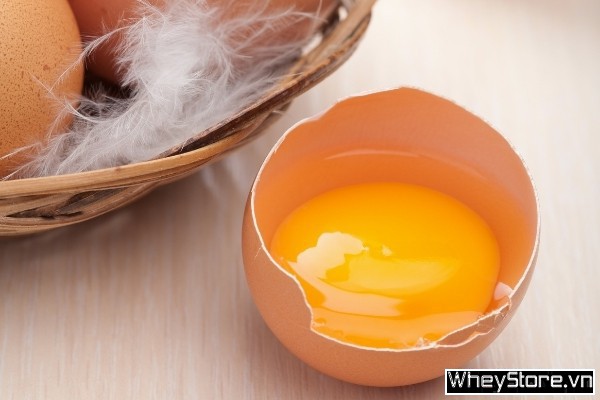 Top 15 Danh mục sản phẩm của F8BET vô cùng đa dạng tăng cường sinh lý nam tự nhiên, an toàn nhất - Ảnh 10