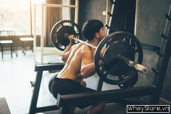 12 bài tập chân mông tăng cơ thân dưới cực nhanh cho gymer - Ảnh 1