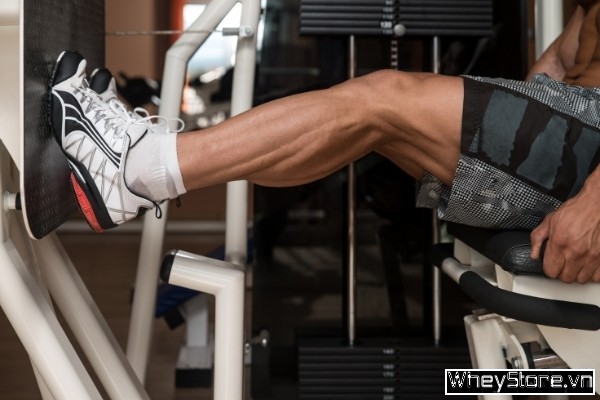 12 bài tập chân mông tăng cơ thân dưới cực nhanh cho gymer - Ảnh 7