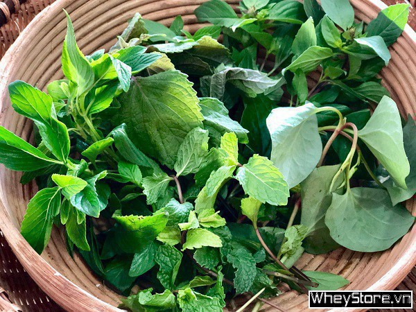 Top 50 Danh mục sản phẩm của F8BET vô cùng đa dạng giảm cân nhanh, đốt cháy mỡ thừa hiệu quả - Ảnh 49