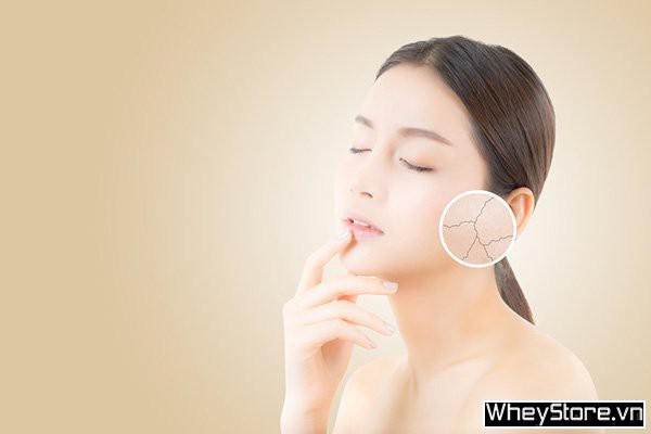 Uống trà xanh có tác dụng gì cho F8bet09 vip giải trí trực tuyến? Cách uống trà xanh hiệu quả - Ảnh 1 Uống trà xanh có tác dụng gì cho F8bet09 vip giải trí trực tuyến? Cách uống trà xanh hiệu quả - Ảnh 1