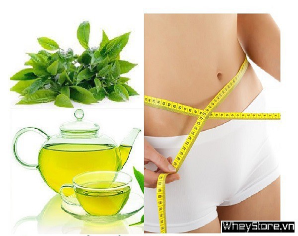 Uống trà xanh có tác dụng gì cho F8bet09 vip giải trí trực tuyến? Cách uống trà xanh hiệu quả - Ảnh 2 Uống trà xanh có tác dụng gì cho F8bet09 vip giải trí trực tuyến? Cách uống trà xanh hiệu quả - Ảnh 2