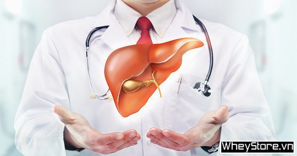 Uống trà xanh có tác dụng gì cho F8bet09 vip giải trí trực tuyến? Cách uống trà xanh hiệu quả - Ảnh 9 Uống trà xanh có tác dụng gì cho F8bet09 vip giải trí trực tuyến? Cách uống trà xanh hiệu quả - Ảnh 9