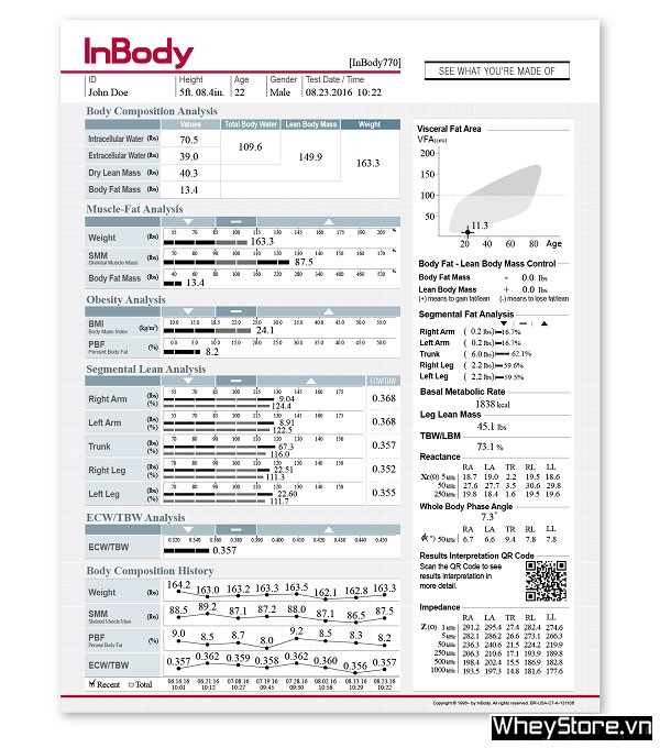 Inbody score bao nhiêu là đẹp? Đọc chỉ số inbody chuyên nghiệp - Ảnh 1