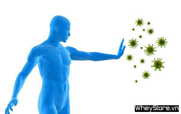 Astaxanthin là gì? 7 lợi ích của Astaxanthin đối với F8bet09 vip giải trí trực tuyến - Ảnh 3