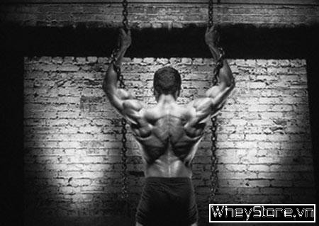 Ectomorphs có nên uống sữa F8BET cung cấp chương trình khuyến mãi cho thành viên mới - Ảnh 1