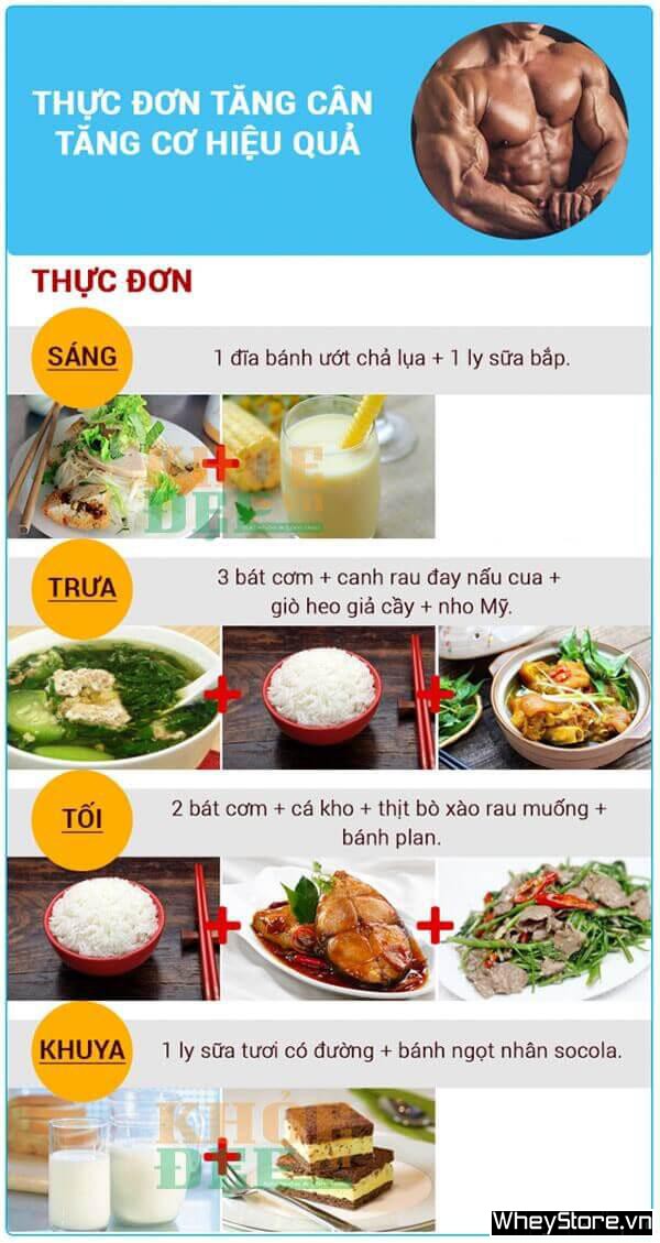 Thực đơn 1 tuần cho nam gầy giúp M f8beta2 c cá cược WC 2026 hiệu quả - Ảnh 3