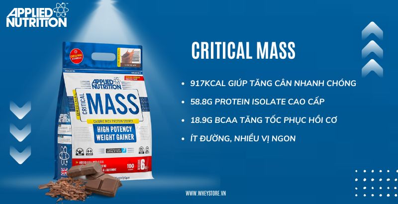 Khám phá thế giới giải trí bất tận tại F8BET Mass Gainer