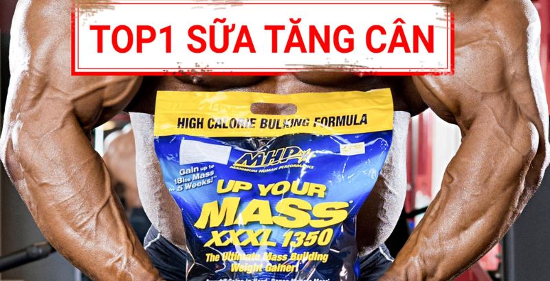 Up Your Mass XXXL 1350 - Top 1 sữa M f8beta2 c cá cược WC 2026