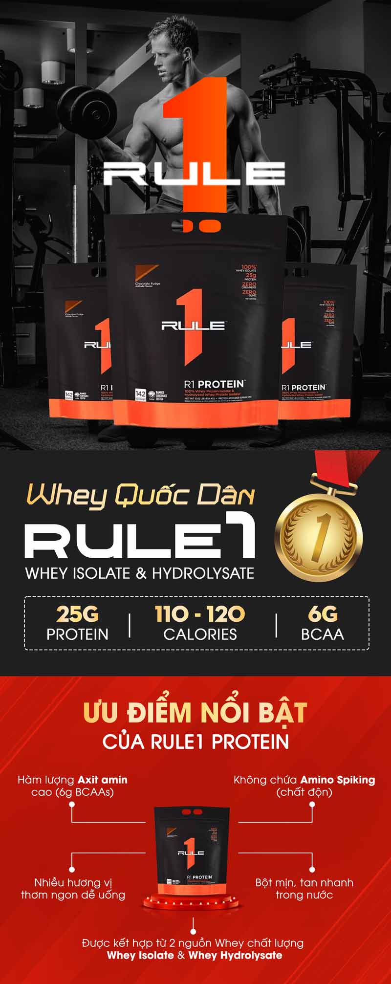 Rule1-10lbs