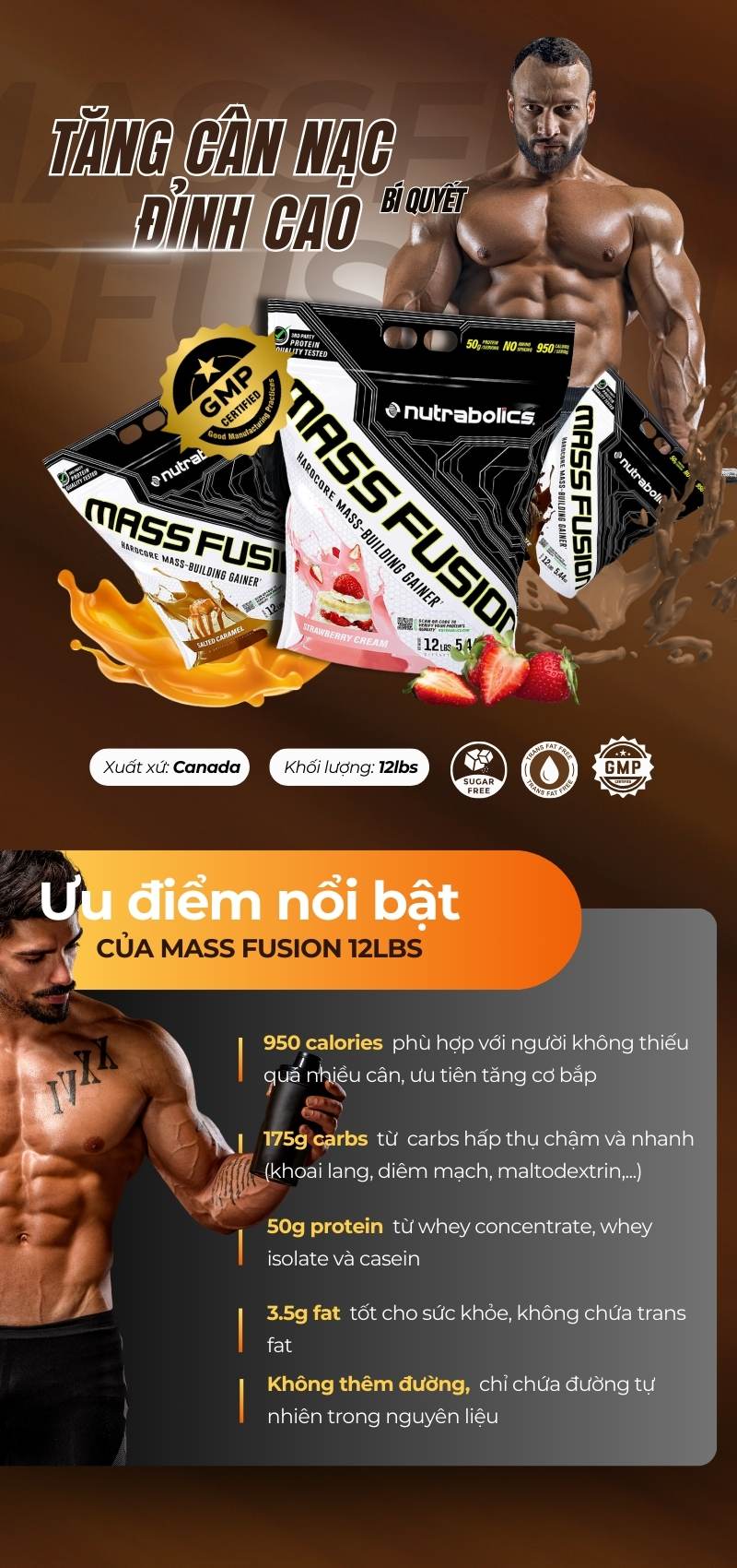infographic mass fusion 12lbs