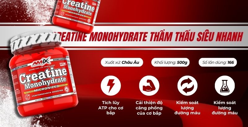 Amix Creatine Monohydrate 500g