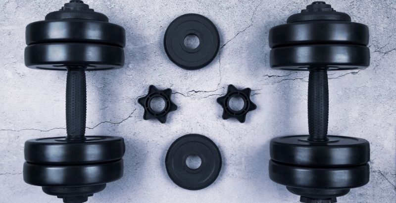 Tạ đơn (Dumbbells)
