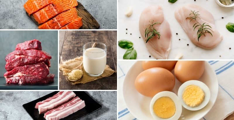protein có phải là đạm không
