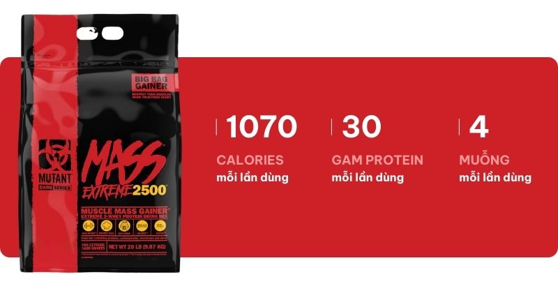 sữa tốt cho hệ tiêu hóa và M f8beta2 c cá cược WC 2026 cho người lớn