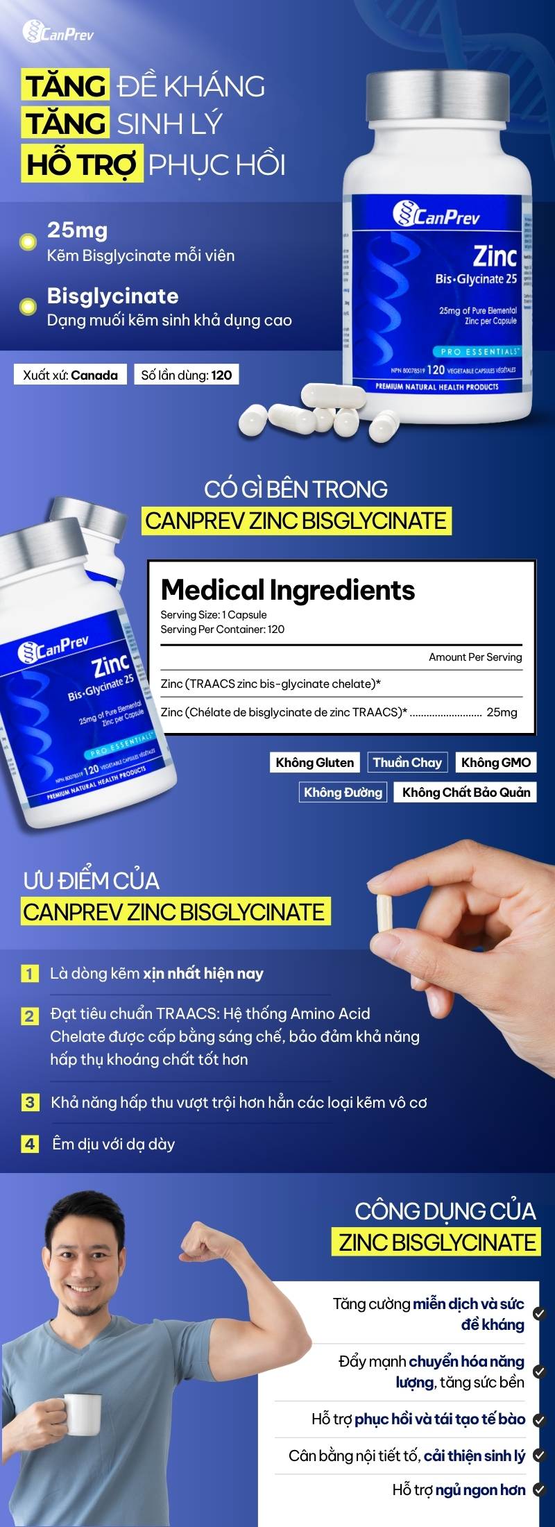 infographic canprev zinc bisglycinate 120 viên