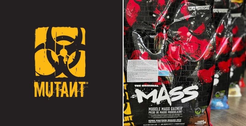 top 10 mass gainer brands in world