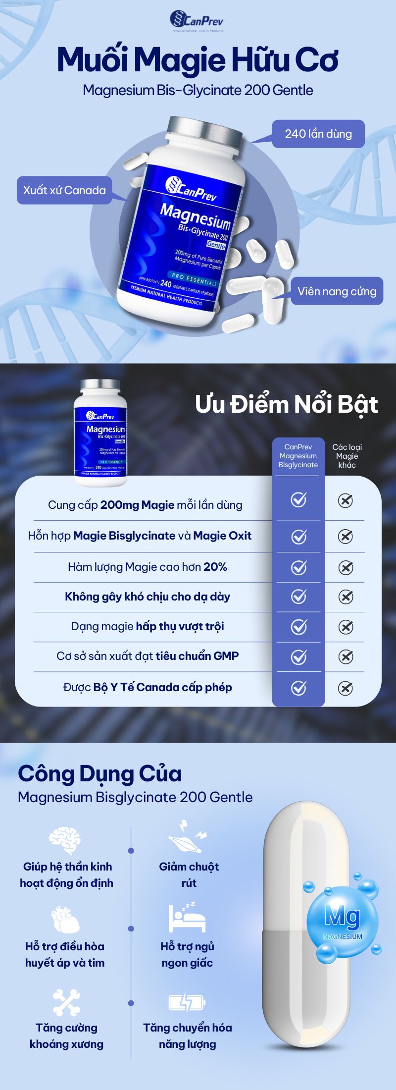 infographic canprev magnesium bisglycinate 200 gentle 240 viên