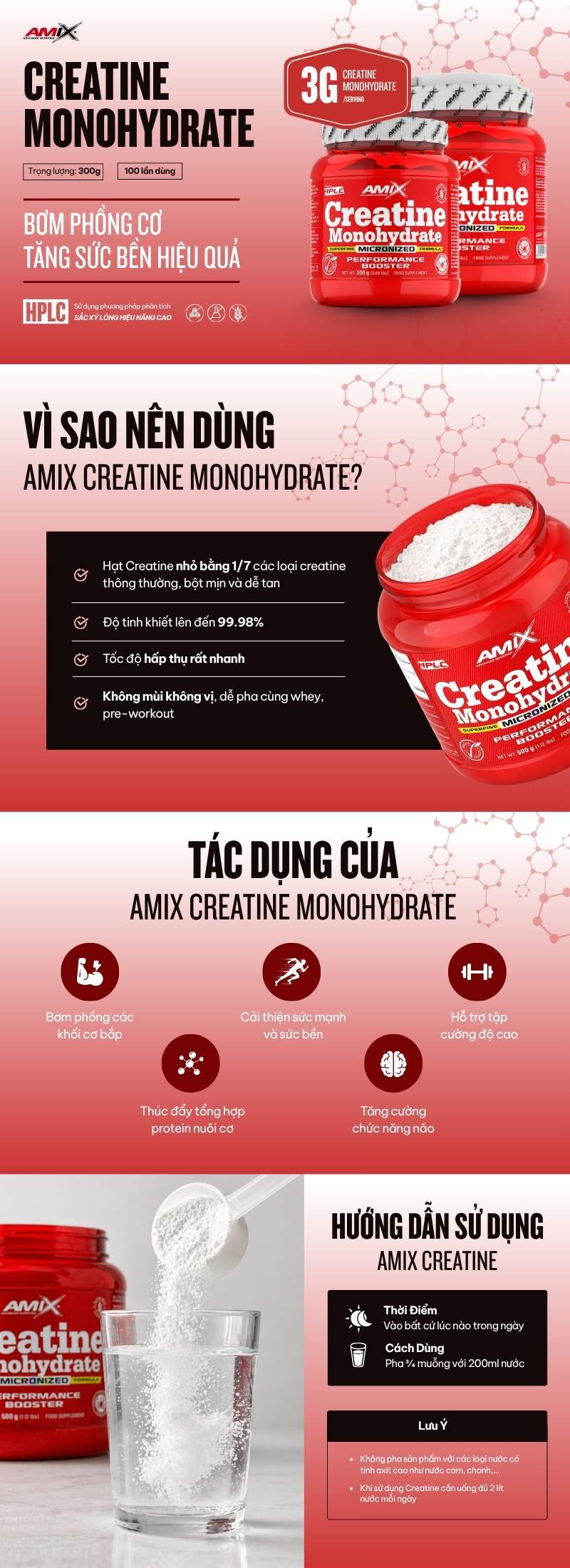 infographic amix creatine monohydrate 300g